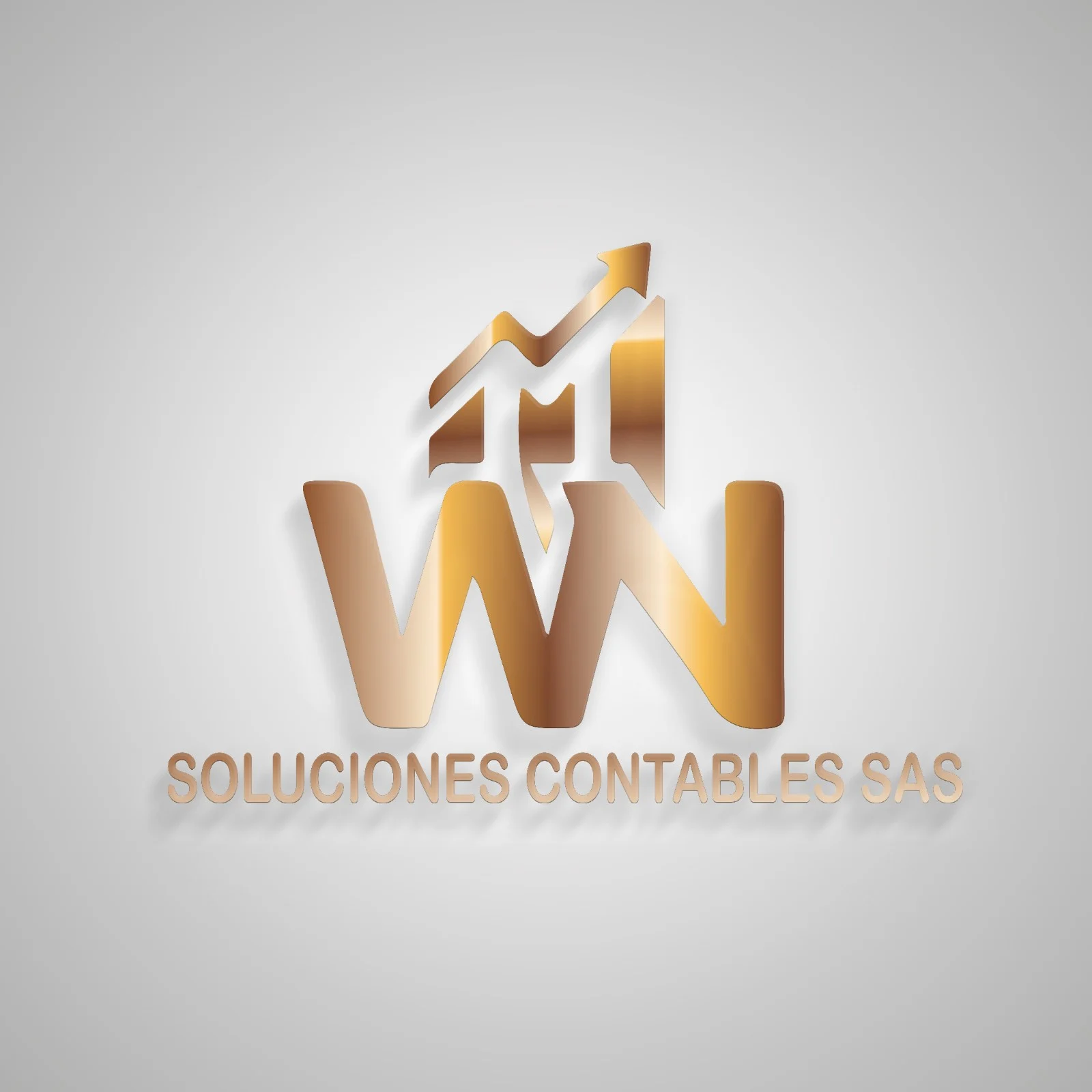 Logo de WN SOLUCIONES CONTABLES SAS